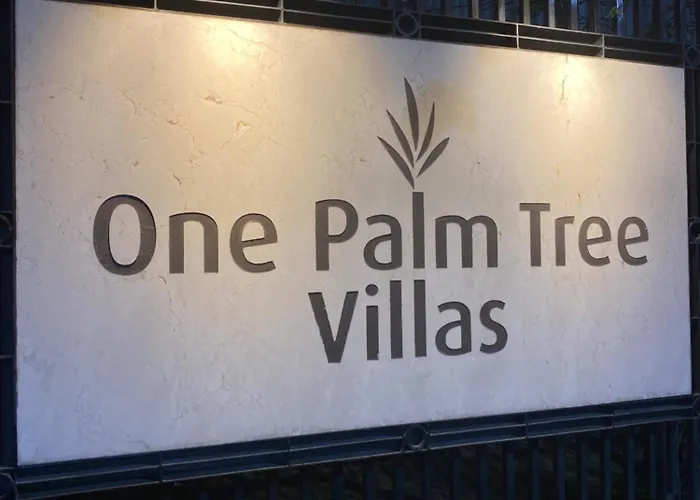 S&s Condotel Type One Palm Tree Apartment Manila